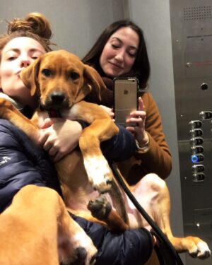 Megan Serena Trainer Instagram - Charlie the heartbreaker.
