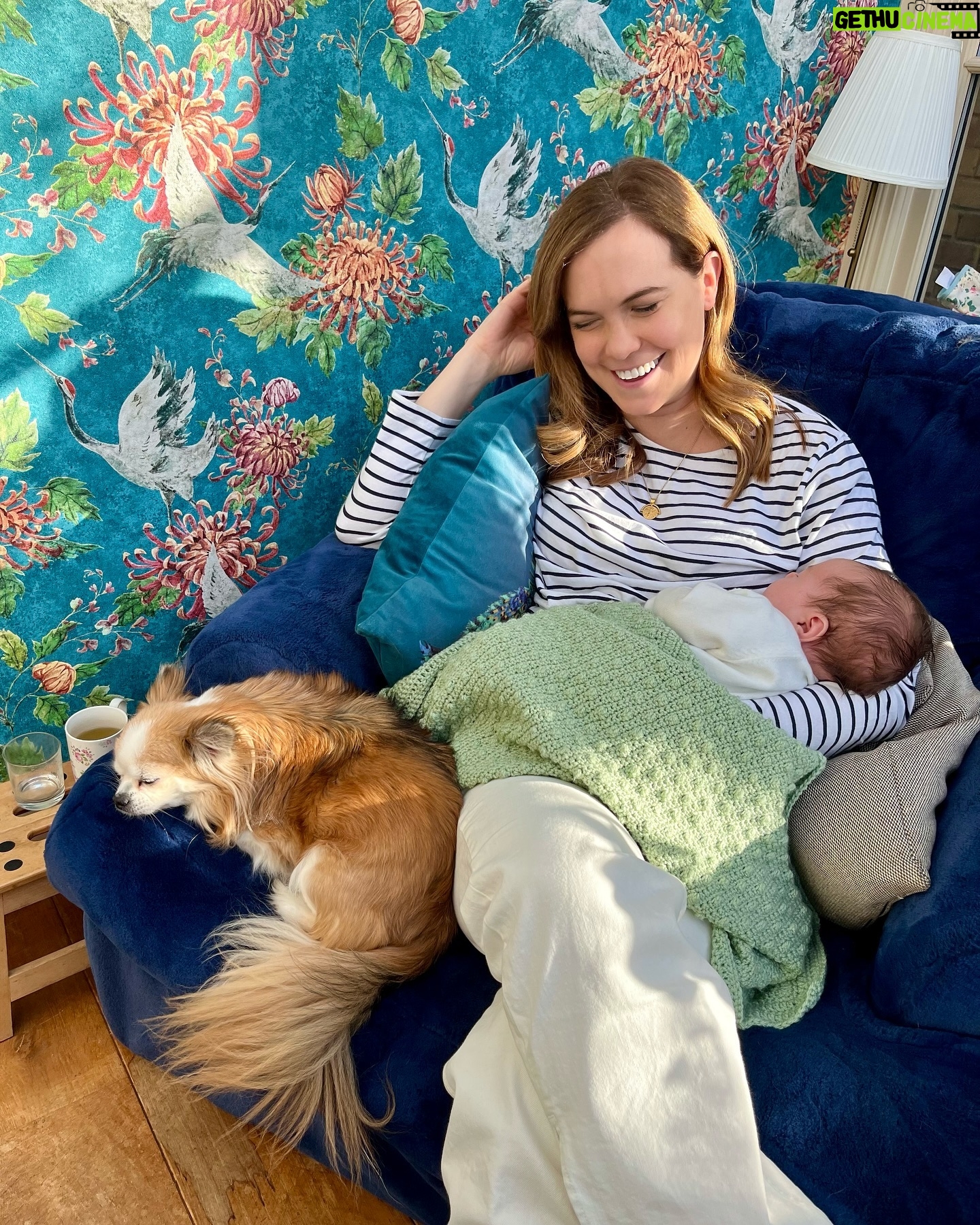 Megan Taylor - 3 Likes - Squished myself into something that’s not tracksuit bottoms or leggings so I had to document it 😝
•
•
•
#mumandbaby #longhairedchihuahua #gotdressedup #postpartumstyle #mumfashion I got dressed mum fashion