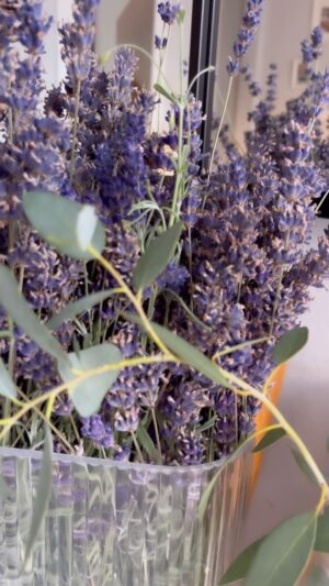 Megan Taylor Instagram - LAVENDER 💜 
This is your reminder for the weekend…
Cut back your lavender and bring it inside to fill your house with the most gorgeous scent.
When your lavender has jusssst past it’s best, before it goes to seed, you want to cut it right back to make it gorgeous for next year. It breaks my heart cutting it back BUT it looks and smells stunning inside the home 🏡 
•
•
•
#lavender #lavenderseason #gardenersworld #cutbackyourlavender #gardeningjobsforweekend #gardeningjobs