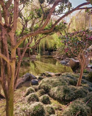 Megha Mathur Instagram - Let's say these will be fondly remembered as a subtle exemplification of Yin-Yang philosophy at the Chinese Garden of Friendship. 

As they say Yin-Yang is all about understanding one thing in relation to another, no?

Quintessential framing and clicking of the first picture done by @nakedindianfakir

#sydney #chinesegardenoffriendship #sff #sff2023