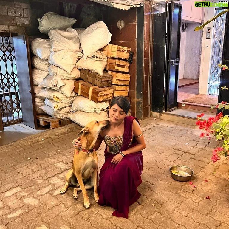 Megha Mathur - 183 Likes - When Rani of @thebrittlethread met Rani of @g5afoundation
Guess who got intimidated? Keep swiping right to find out.
Featuring Bira and Rani - furry pals of @g5afoundation
Moment captured by my adorable Shazia @shwetaannagar ❤️
#postscreeningthings #g5a #bira #rani #birathedog #ranithedog