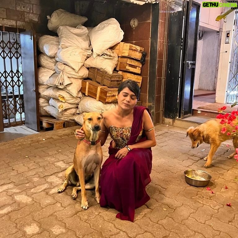 Megha Mathur - 183 Likes - When Rani of @thebrittlethread met Rani of @g5afoundation
Guess who got intimidated? Keep swiping right to find out.
Featuring Bira and Rani - furry pals of @g5afoundation
Moment captured by my adorable Shazia @shwetaannagar ❤️
#postscreeningthings #g5a #bira #rani #birathedog #ranithedog
