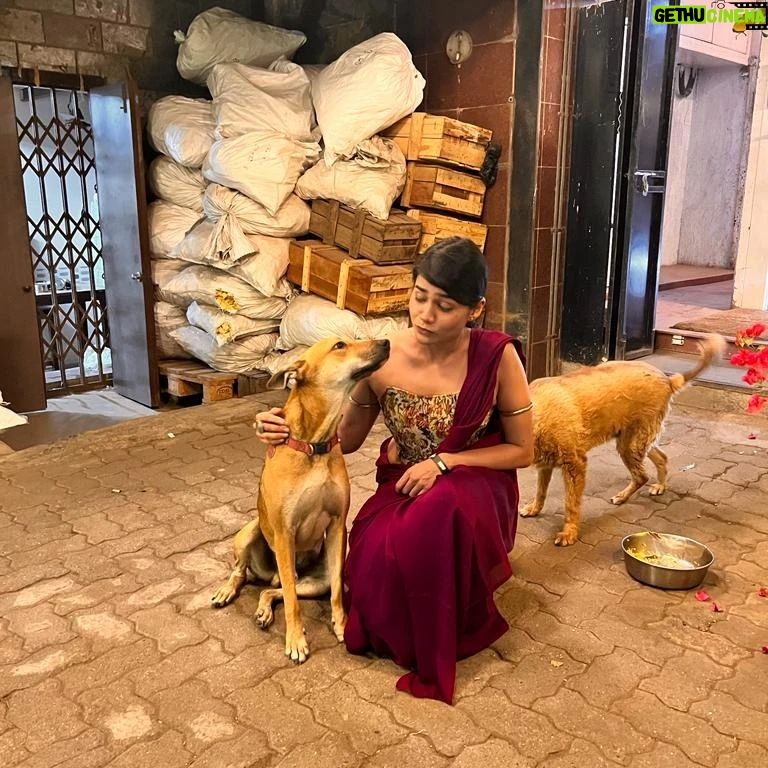 Megha Mathur - 183 Likes - When Rani of @thebrittlethread met Rani of @g5afoundation
Guess who got intimidated? Keep swiping right to find out.
Featuring Bira and Rani - furry pals of @g5afoundation
Moment captured by my adorable Shazia @shwetaannagar ❤️
#postscreeningthings #g5a #bira #rani #birathedog #ranithedog