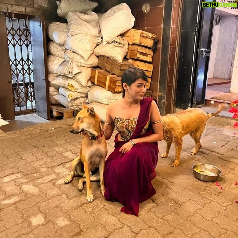 Megha Mathur - 183 Likes - When Rani of @thebrittlethread met Rani of @g5afoundation
Guess who got intimidated? Keep swiping right to find out.
Featuring Bira and Rani - furry pals of @g5afoundation
Moment captured by my adorable Shazia @shwetaannagar ❤️
#postscreeningthings #g5a #bira #rani #birathedog #ranithedog