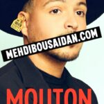 Mehdi Bousaidan