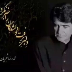 Mehdi Soltani Instagram - ...و هرگز نمیرد آنکه دلش زنده شد به عشق... و مرده آن است که نامش به نکویی نبرند... و مرگ پایان کبوتر نیست...🖤🖤🖤
#استاد_شجریان
