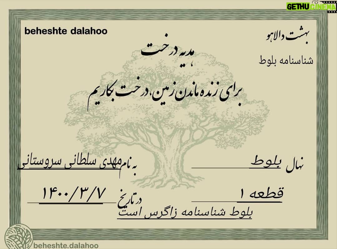 Mehdi Soltani - 42.9K Likes - #محیط_زیست ضرورتی حیاتی برای زیستن، برای زنده ماندن. مواظب خودتون باشید. ✋🏻🌲