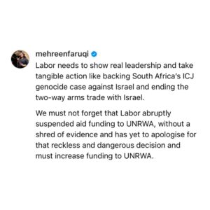 Mehreen Faruqi Instagram - More aid funding for Gaza is the bare minimum.
