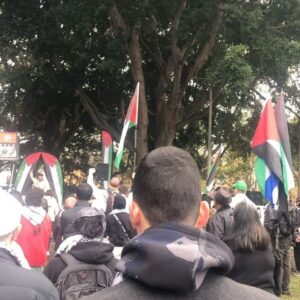 Mehreen Faruqi Instagram - In our thousands, in our millions, we are all Palestinians. We will keep showing up. We will not forget. We will not forgive #freepalestine 🇵🇸🍉