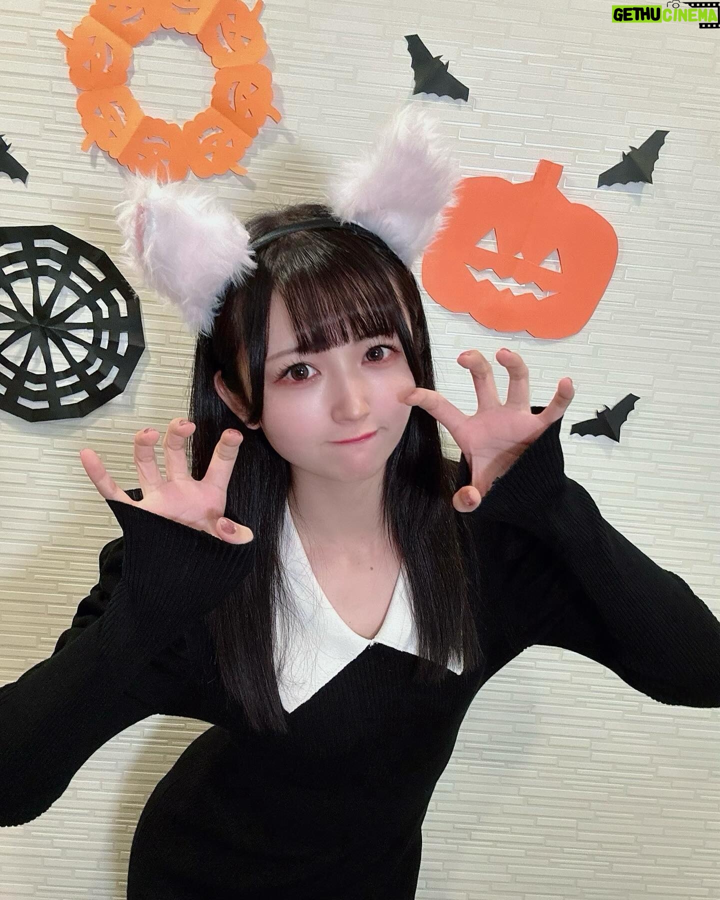 Mei Okada - 3.3K Likes - ❤︎🎃 Happy Halloween 🐈⬛❤︎