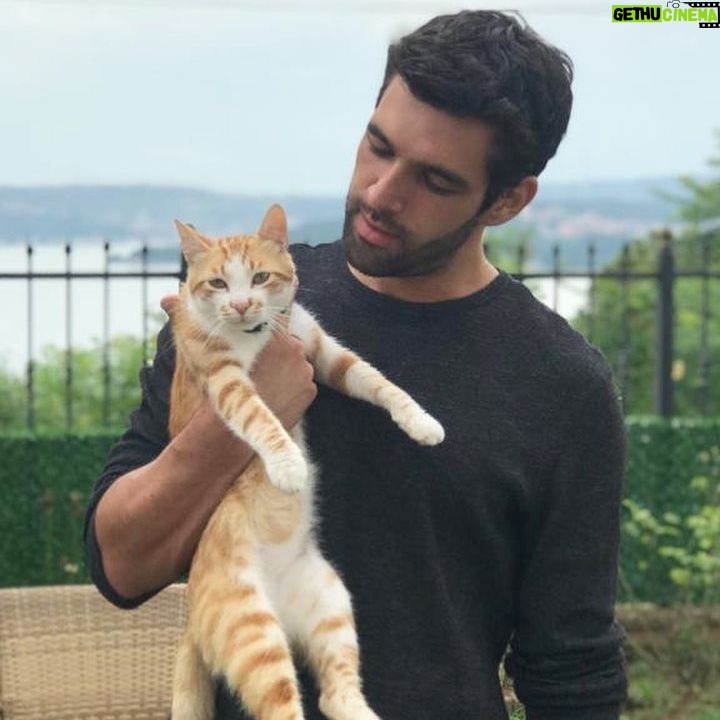 Melih Özkaya - 6.9K Likes - Set kedisi 🙂 @karamelyapim #emanetdizi