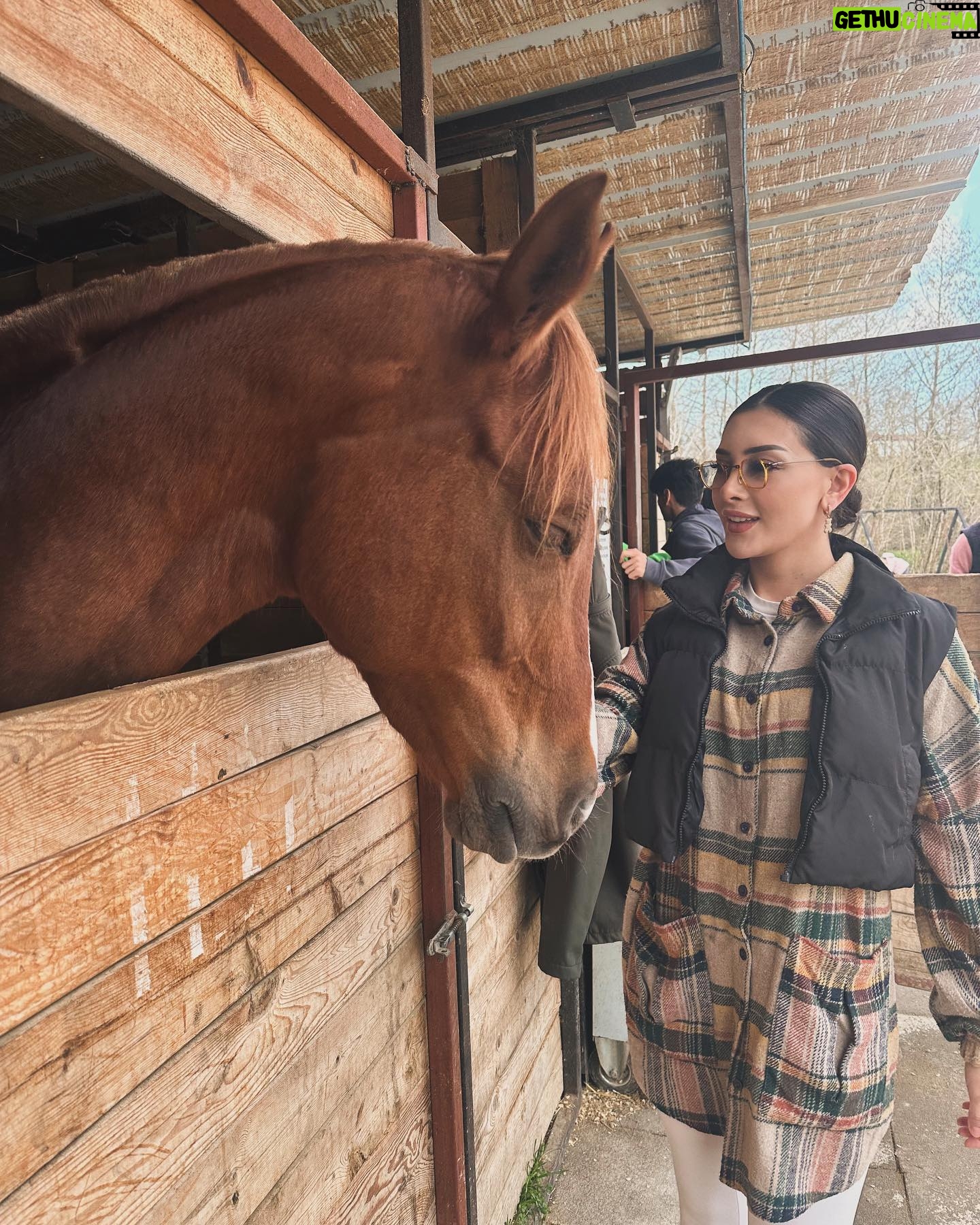 Melisa Seda - 1.3K Likes - Sadece storyde kalmasın bence 🐎✅
#at #binicilikeğitmeni #binicilikeğitimi #hipodrom #horse #hobi #eğitim #instagram #keşfet #keşfetteyiz #magazin #doğanıngüzelliği #güneş #enerji #happy #instagood #gooddays
