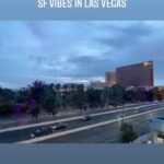 Melissa Anderson
