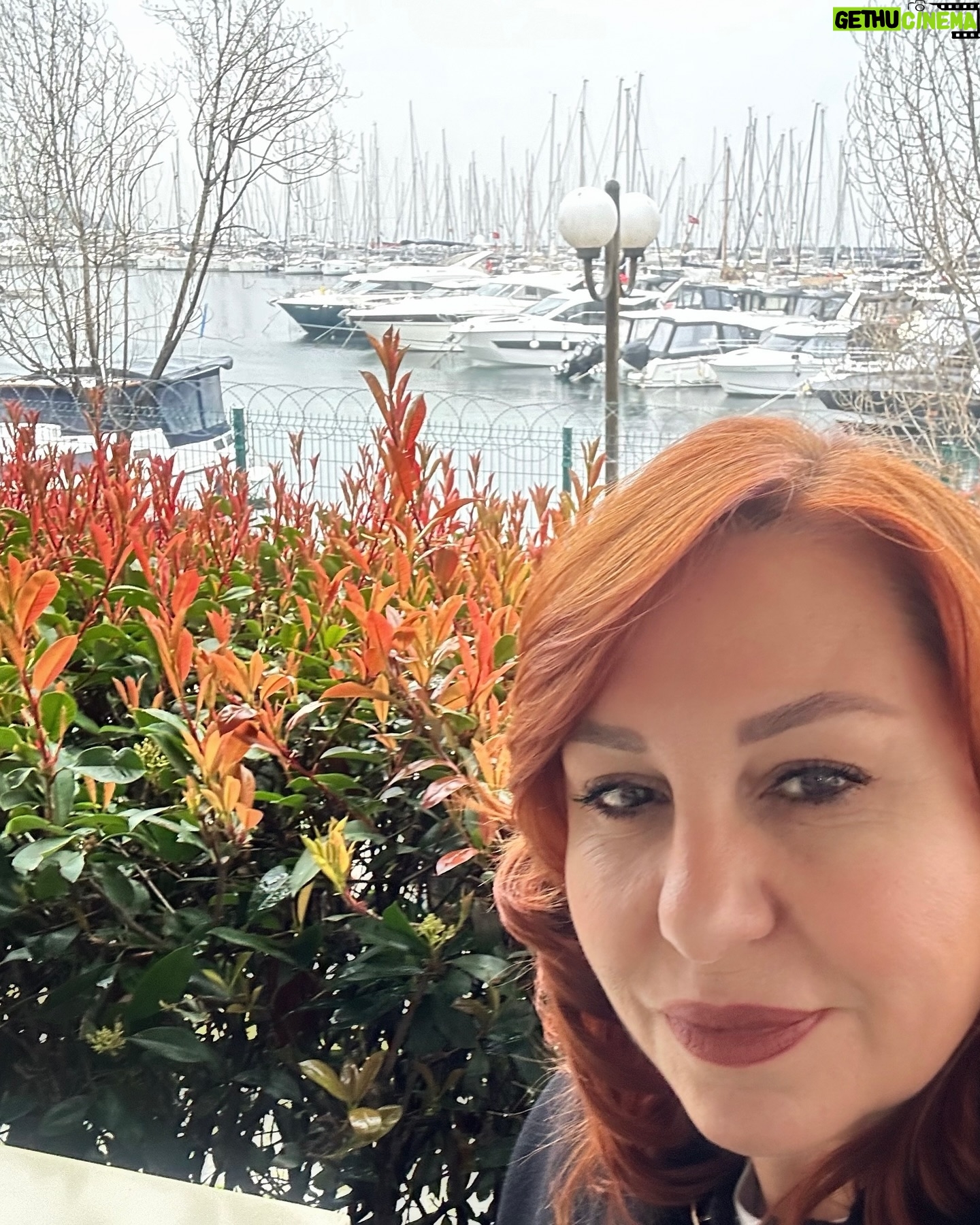 Meltem Baytok - 9.8K Likes - Günümüz kutlu olsun š