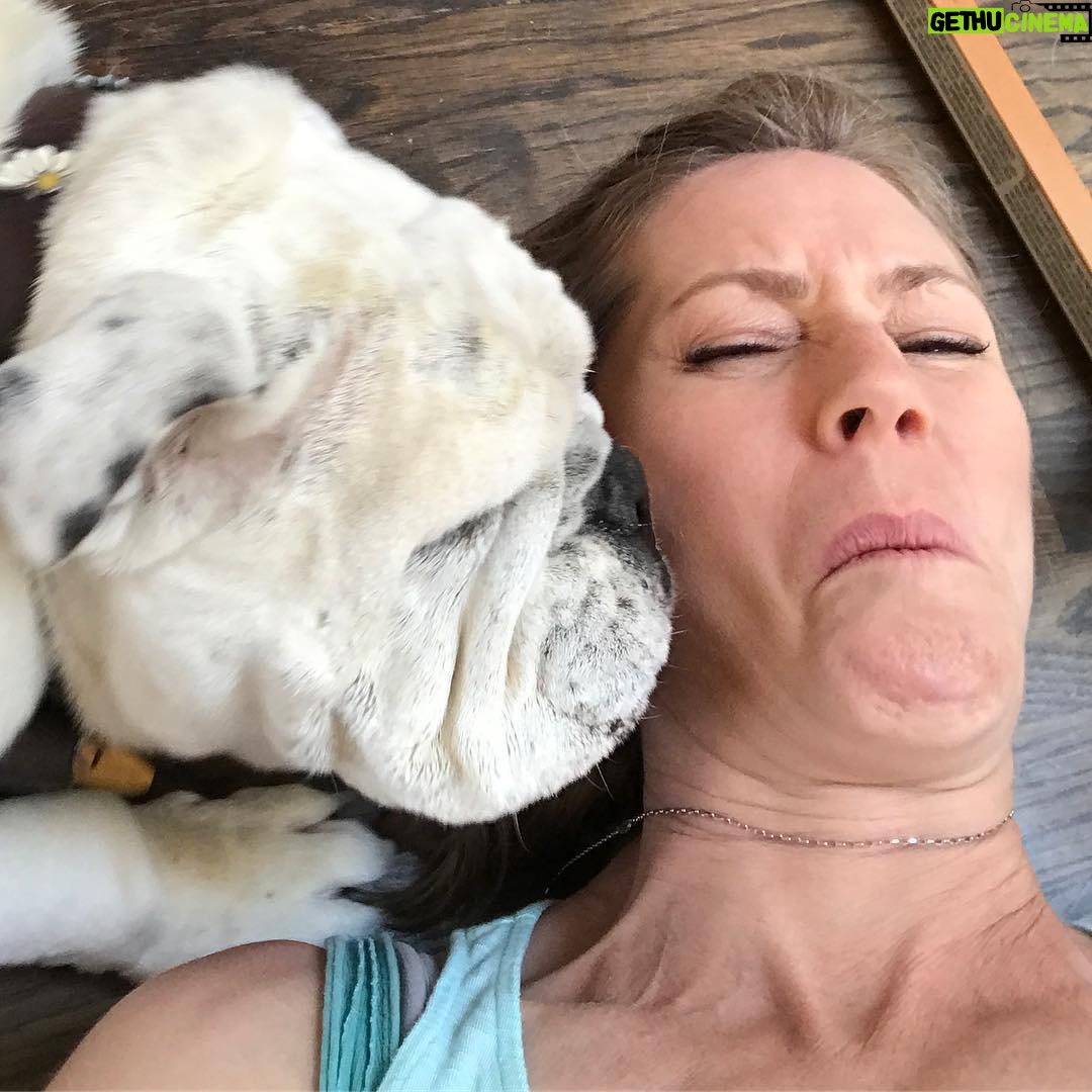 Meredith Monroe - 704 Likes - It's #nationalkissingday & 1 of us has super #stinky #breath! She sure is #cute though! #adoptdontshop #bulldogs #bulldogsofinstagram #puppylove #furryfriends #momlife #furbaby #ineedashower #bullies #bullybreed #bullybaby p.s. Don't forget lots of #water #shade & #indoors for our #furryfriends during the heat!! 💖