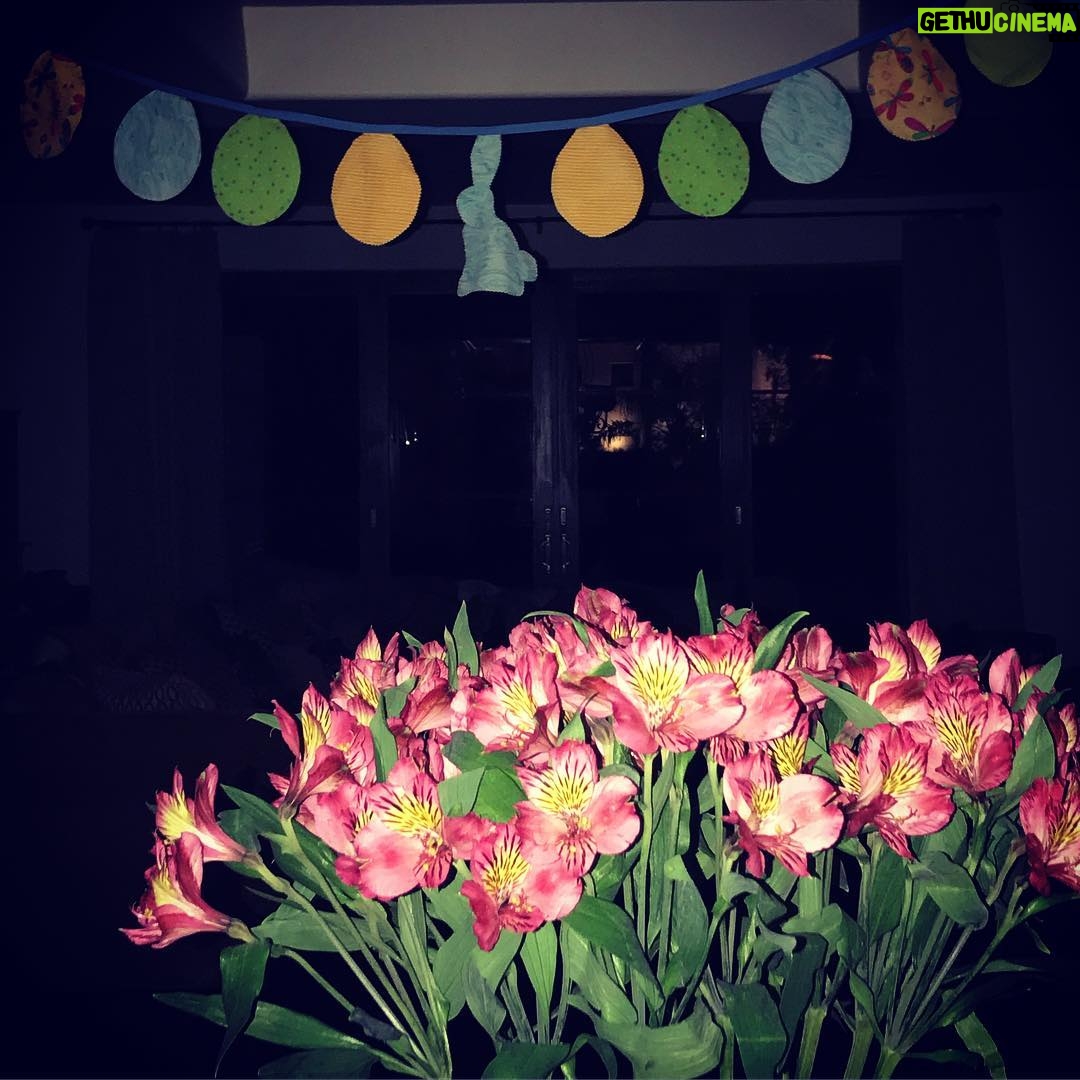 Meredith Monroe - 425 Likes - We’re ready #easterbunny #bringiton 🐰🐣#boyswhosew with #mama be still my #heart #homemade #banner 💙 #sewing #crafty #spring #flowers