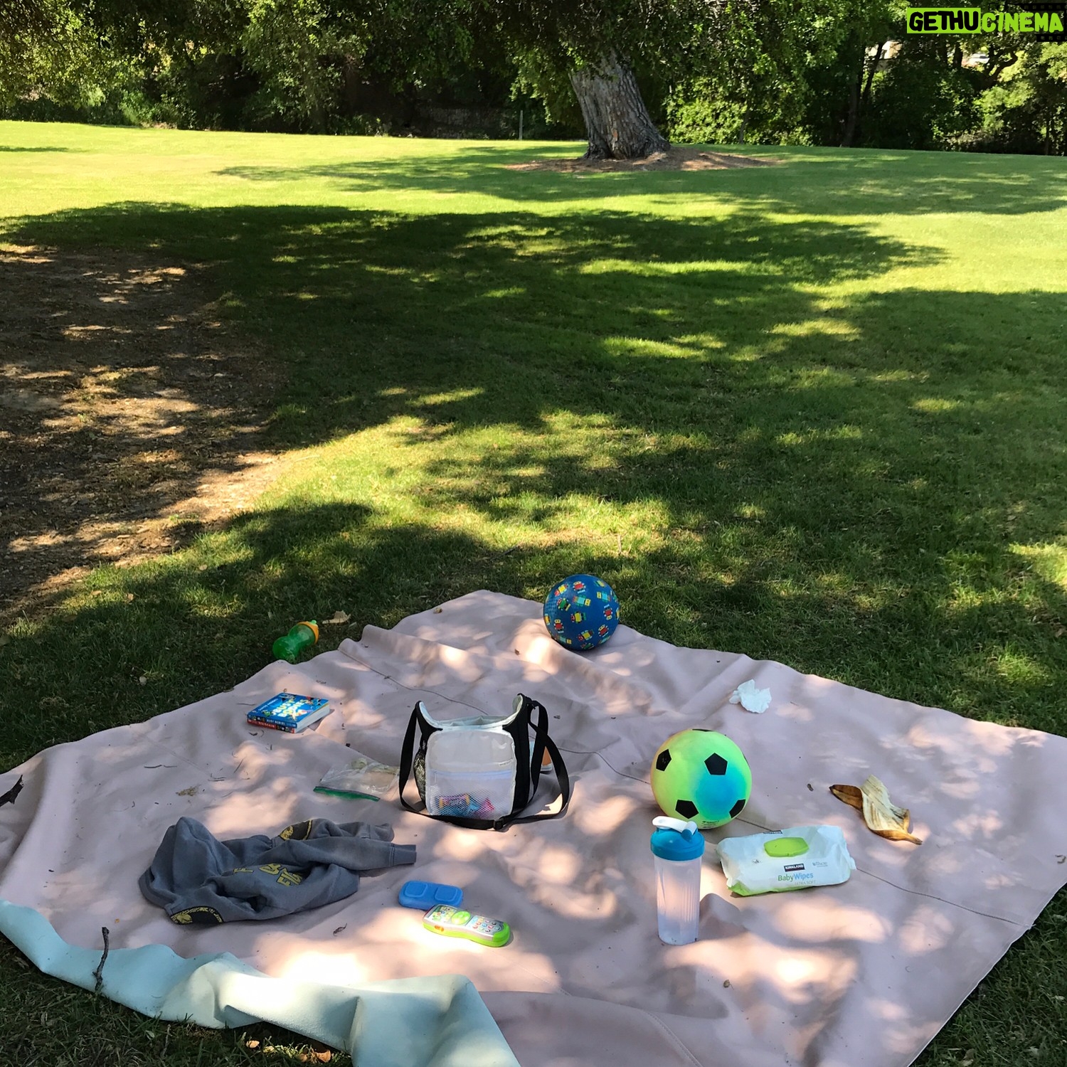 Meredith Monroe - 326 Likes - #thankyou @gathre we absolutely #LOVE our #awesome #maximat in #rouge. A #challenging morning required a #picnicday & a #nofuss mat to #chill on, eat on, read on & enjoy #nature on. Love the #easy #cleanup, the size & #beauty of this mat! Thanks for helping to #reset our #day! 😘.