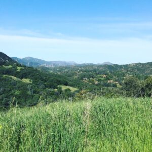 Meredith Monroe Instagram - #morning #hike with this #beauty @hairstylistchef checking out #mothernaturesbeauty my heart & my bod thank you! #motivationmonday #gogetit #fitness #fun #mountains #momlife #goodtimes #goodfriends