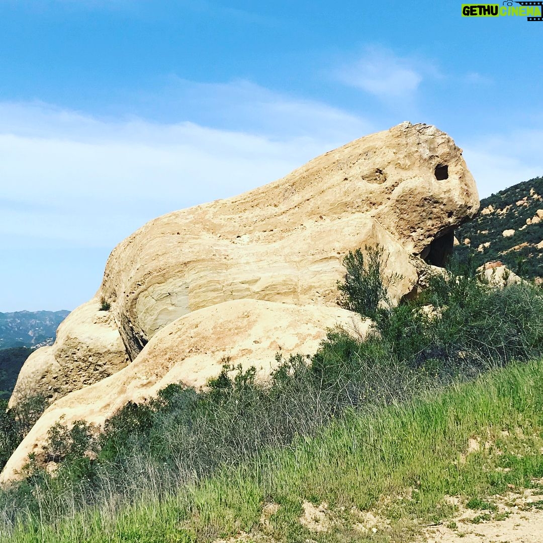 Meredith Monroe - 369 Likes - #morning #hike with this #beauty @hairstylistchef checking out #mothernaturesbeauty my heart & my bod thank you! #motivationmonday #gogetit #fitness #fun #mountains #momlife #goodtimes #goodfriends