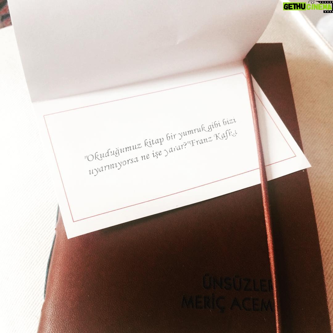 Meriç Acemi - 2.5K Likes - 🐌