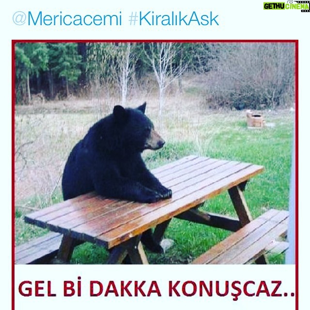 Meriç Acemi - 1.2K Likes - Güzel yorumlar için teşekkürler;)😋😉