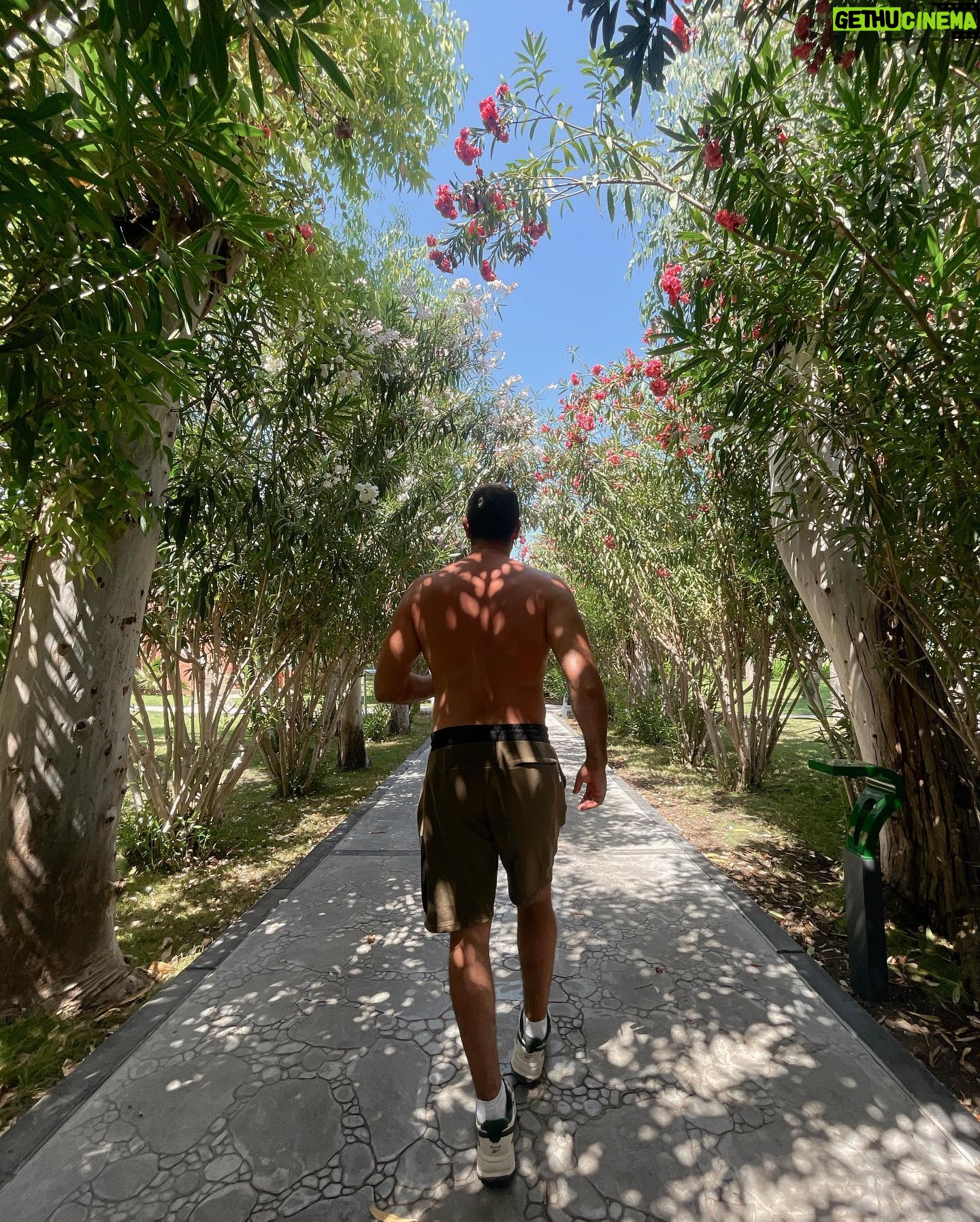 Mert Kılıç - 27K Likes - #welcometothejungle 🌴