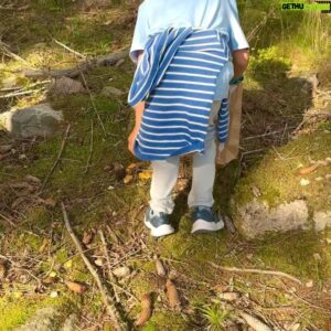 Micael Bindefeld Instagram - Svampplockarna!!
-
-
Svep för fler bilder och videos av skogens guld…!
-
-
Vår familj älskar skogen! Nästan all skog men allra mest vår egen skog i Lönneberga. 
-
-
Nicklas och jag har våra absoluta favoritställen där vi alltid hittat mycket svamp. Nu har även Mimo hittat helt nya ställen som är hans favoriter. 
-
-
Igår plockade vi massor av kantareller. Och några få men otroligt fina karljohansvampar!
Drygt 10 liter färdigrensade kantareller…!!
Flest och störst kantareller hittade Mimo såklart. Han kan nästa lukta sig fram till de bästa och hemligaste ställena.
-
-
Har ni plockat någon svamp ännu…?
-
-
#kantarell #kantarelleröverallt #kantareller #mushroompicking #svampplockning #svampskogen #lönneberga