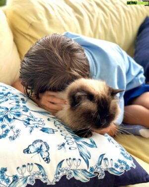 Micael Bindefeld Instagram - Breakfasting With Mimo & Caesar!
-
-
Pls swipe for 🧑🏻😻
-
-
They’re literally always together! And Mimo almost refuses to have breakfast unless Caesar in seated next to him….
-
-
This is true and unconditional love! A boy and his kitty. 
Having breakfast together on the lovely veranda at our farmhouse in Lönneberga!
Homemade warm scones!! And lots of fresh berries!
-
-
#aboyandhiscat #caesar #ragdollkitten #ragdoll #verandabreakfast #breakfast #farmhouseliving #farmhousestyle #livetpålandet #lönneberga 
-
-
Blue and white pillows from the collection “House of Aspvik” designed by me for @fyrklovern_sverige 
This is not a paid ad or colab!