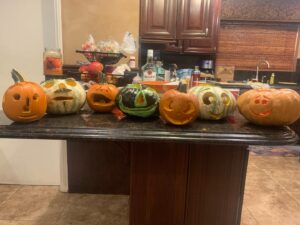Michael Angarano Instagram - *Angarano First Annual Pandemic Pumpkin/Gourd Carving Competition* ... please vote 1-7 (number one being furthest left)... PLEASE NOTE: some Angaranos were unaware of the publicly competitive nature of this event and would like voters to take that into consideration. for individual pics of the contestants, go to my story. and remember to vote this Tuesday!