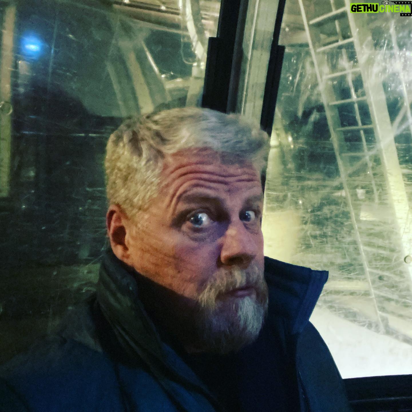 Michael Cudlitz - 19.2K Likes - Late night gondola ride. Endless possibilities ……… @mammothfilmfestival @manifestwestfilm ….. #worldpremiere