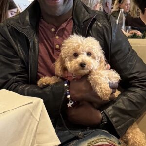 Michael Irvin Instagram - Lunch n Beverly Hills 2day, my new friend Alley just jumped n my lap. She comforted me like Champ use to do, & barked n my ear to me that the @dallascowboys will beat the @MiamiDolphins on Christmas Eve as a Xmas Gift to ME🙏🏿 Thx U Alley! Merry Christmas to all!⭐️