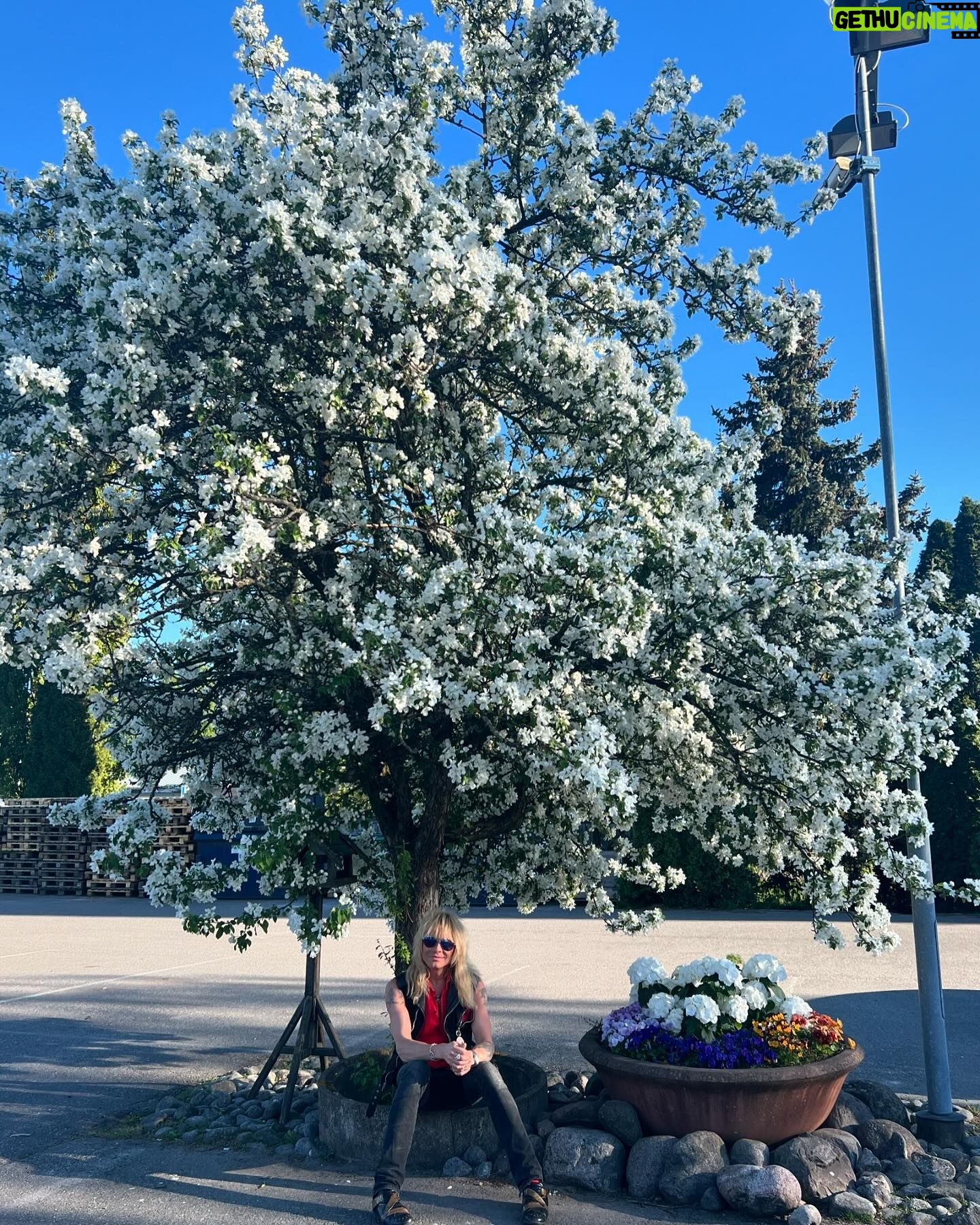 Michael Monroe - 4.7K Likes - Kiitos @viherlassila 🌳🌳🌳🌸🌸