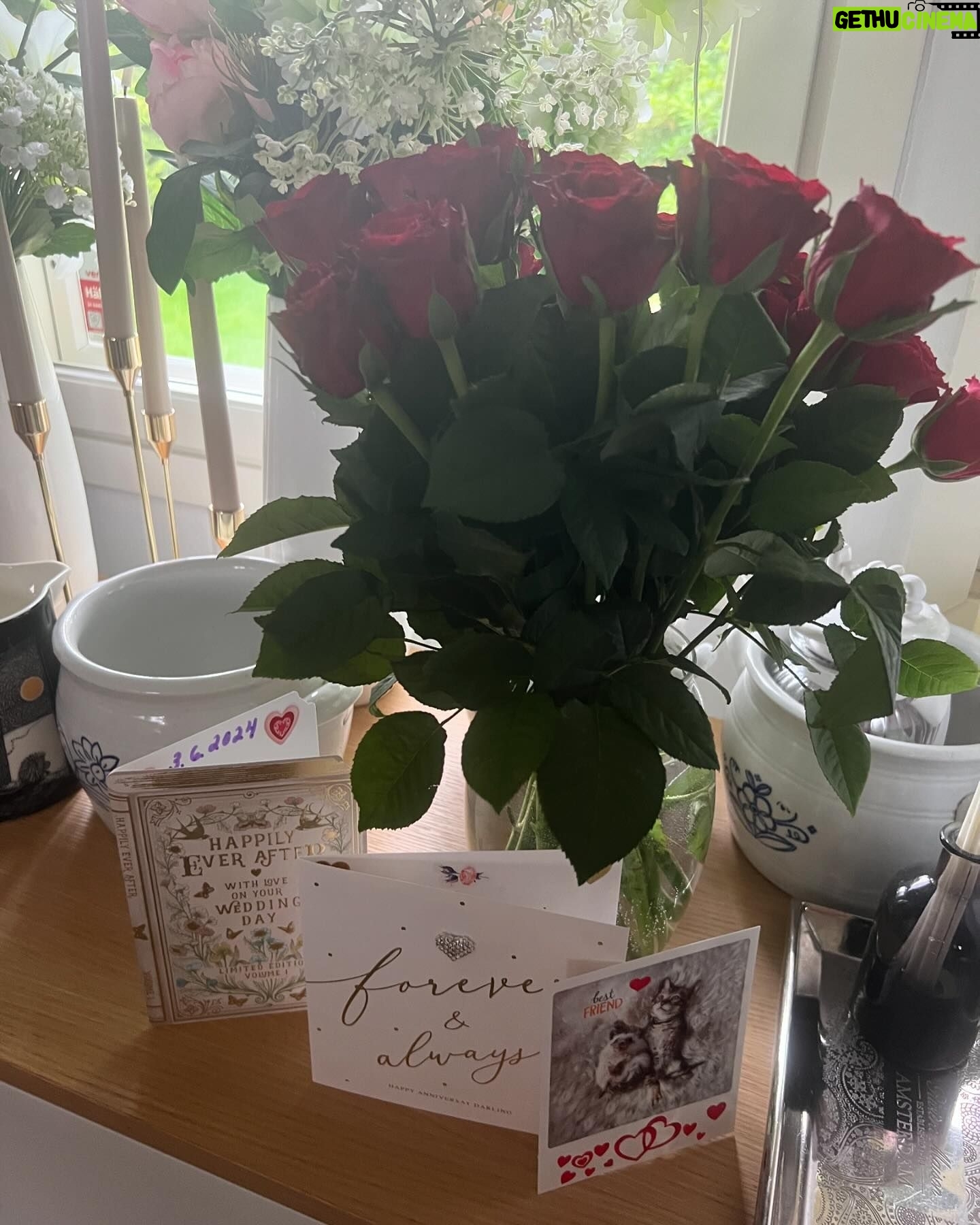 Michael Monroe - 27.7K Likes - The Happiest day 21- years ago when I got you as my Wife Johanna. ❤️❤️❤️❤️
I will always love you. ❤️❤️❤️
Onnellisin päivä elämässäni kun sain sinut vaimokseni rakas Johanna. ❤️❤️❤️❤️❤️❤️❤️
Happy Anniversary❤️❤️❤️❤️❤️❤️