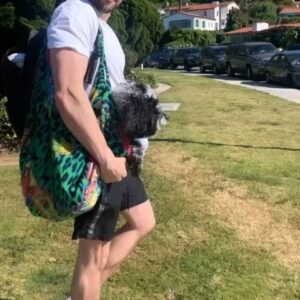 Michael Parr Instagram - It's a mans bag...its got compartments for all your stuff...your keys, your wallet...your cockapoo!!! Yeah I'm quoting friends. So what?
