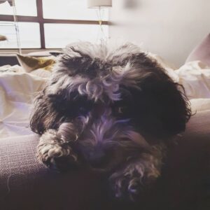 Michael Parr Instagram - He think he cute!!!