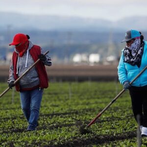 Michael Peña Instagram - My parents were farmers. Their parents were farmers. Thank you to those who work through this pandemic. It can’t be easy.