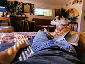 Michael Provost Instagram - Love ya pets. Read Toni Morrison. & have a great Sunday ❤️ #thebluesteye