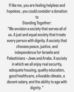 Michaela Watkins Instagram - Cease Fire now. Please talk to each other. Stop killing each other. Stop teaching hate. End the cycle now. https://www.standing-together.org/about-us