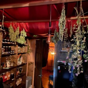 Michelle Belanger Instagram - The Beebalm up to dry. Harvested a little bit of the garden sage as well and a sprig of St. John’s wort, which I should’ve harvested back on the solstice if I wanted to be appropriately witchy about it. #apothecary #herbalism #witchcraft #witchyvibes