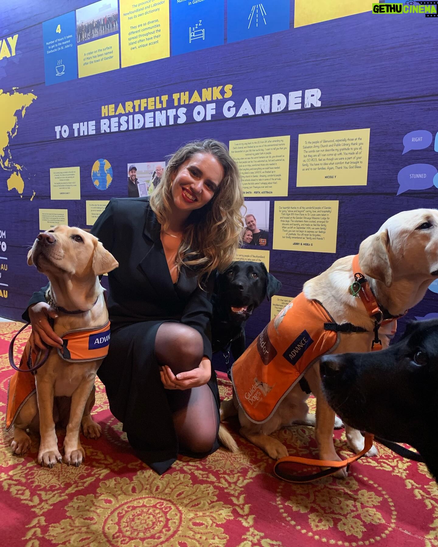 Michelle Brasier - 646 Likes - Happy International Guide Dog Day! Iām so proud to be an ambassador for @guidedogsaustralia and I love taking my perfect angel ambassador dog, Eva everywhere I go. Together we offer people, restaurants, drivers, theatres, red carpets and sets the chance to experience having a Guide Dog around. Eva has won over many people who were originally fearful of dogs or unsure of what exactly a Guide Dog does and itās so amazing to watch her work so confidently and gently. Sheās become part of the furniture at @comedyrepublicmelb and @sonny_ray_cafe and I couldnāt be more proud of her. Guide dogs play a pivotal role in many peopleās lives. The bond between a guide dog and their handler is so special. Guide dogs change lives (and have access all areas passes, donāt forget baby!).