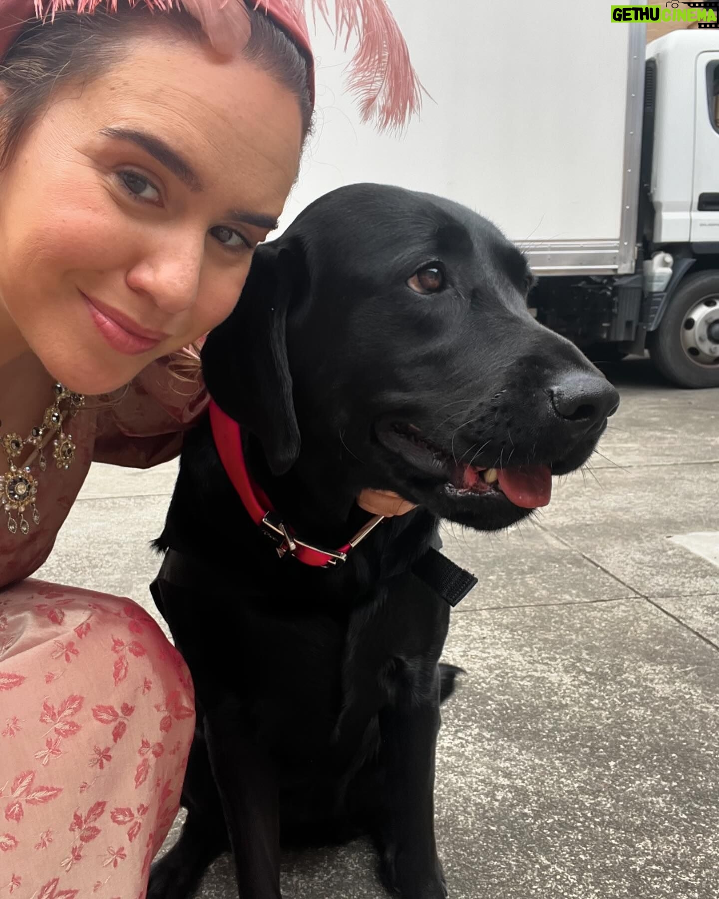 Michelle Brasier - 646 Likes - Happy International Guide Dog Day! Iām so proud to be an ambassador for @guidedogsaustralia and I love taking my perfect angel ambassador dog, Eva everywhere I go. Together we offer people, restaurants, drivers, theatres, red carpets and sets the chance to experience having a Guide Dog around. Eva has won over many people who were originally fearful of dogs or unsure of what exactly a Guide Dog does and itās so amazing to watch her work so confidently and gently. Sheās become part of the furniture at @comedyrepublicmelb and @sonny_ray_cafe and I couldnāt be more proud of her. Guide dogs play a pivotal role in many peopleās lives. The bond between a guide dog and their handler is so special. Guide dogs change lives (and have access all areas passes, donāt forget baby!).