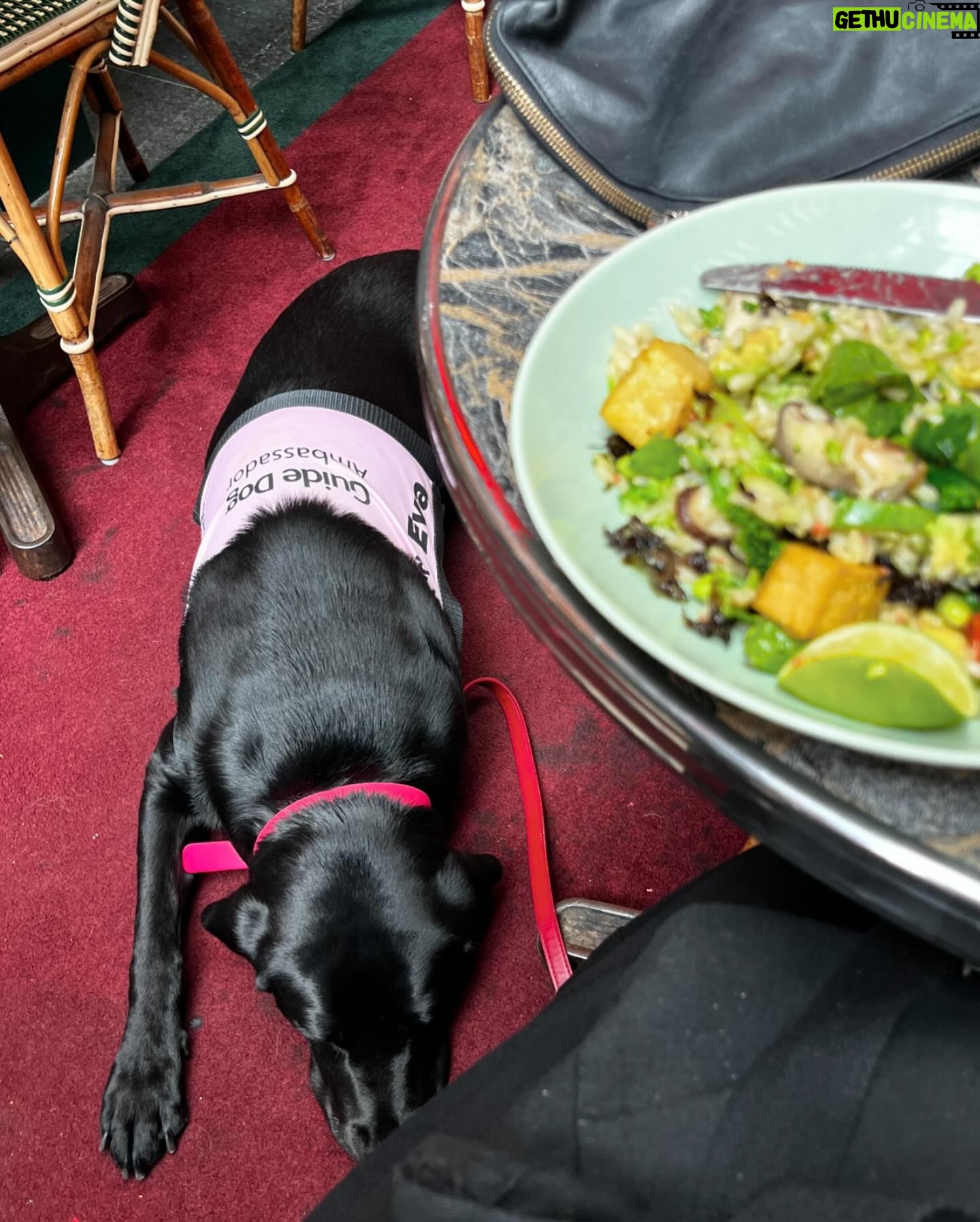 Michelle Brasier - 646 Likes - Happy International Guide Dog Day! Iām so proud to be an ambassador for @guidedogsaustralia and I love taking my perfect angel ambassador dog, Eva everywhere I go. Together we offer people, restaurants, drivers, theatres, red carpets and sets the chance to experience having a Guide Dog around. Eva has won over many people who were originally fearful of dogs or unsure of what exactly a Guide Dog does and itās so amazing to watch her work so confidently and gently. Sheās become part of the furniture at @comedyrepublicmelb and @sonny_ray_cafe and I couldnāt be more proud of her. Guide dogs play a pivotal role in many peopleās lives. The bond between a guide dog and their handler is so special. Guide dogs change lives (and have access all areas passes, donāt forget baby!).