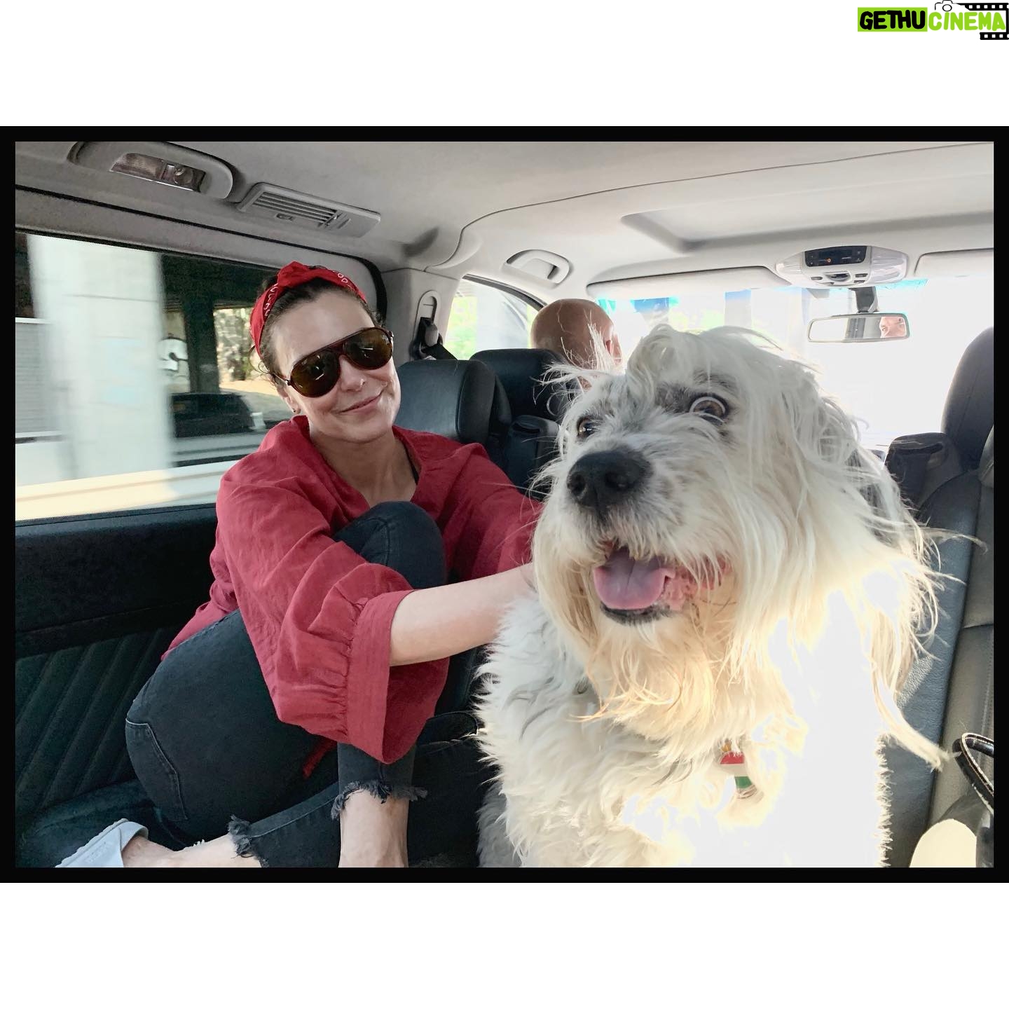 Michelle Forbes - 622 Likes - Someone was super cute on the way to work today 🐼