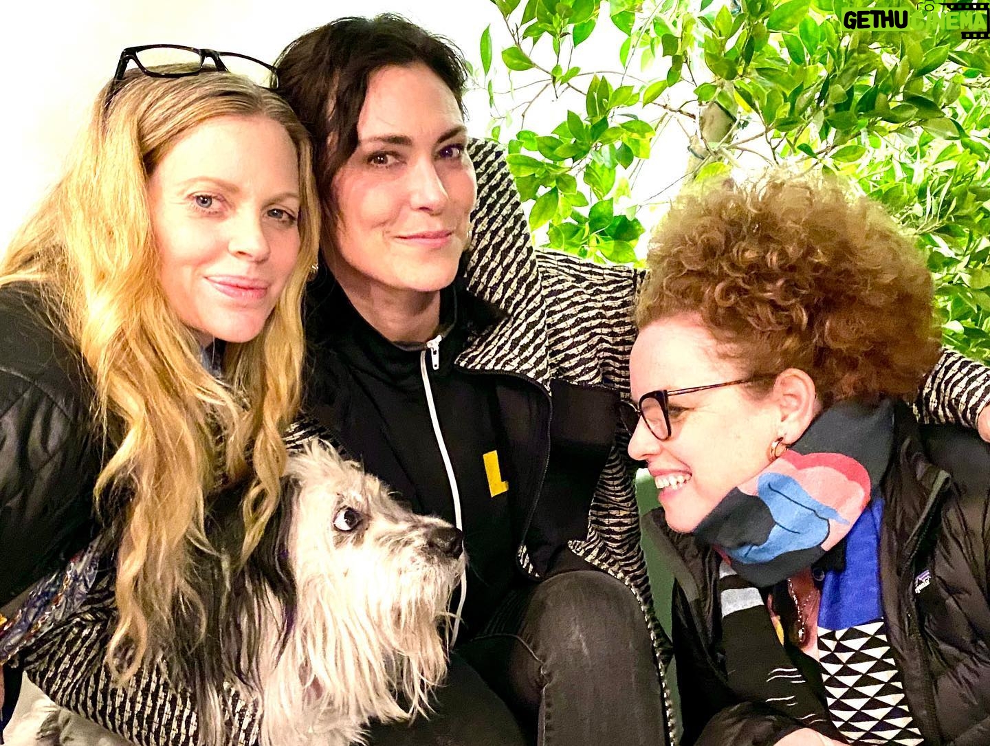 Michelle Forbes - 801 Likes - Lotsa sweet impromptu True Blood gatherings happening for some reason 🤷🏻♀️and I’m loving it! Henry, as always, is calm, patient & engaging in social situations... 👀!...#trueblood #truebloodneverdies #henry #adventureswithhenry #pam #maryann @kristinbauer @audrey.fisher @sparksalot728