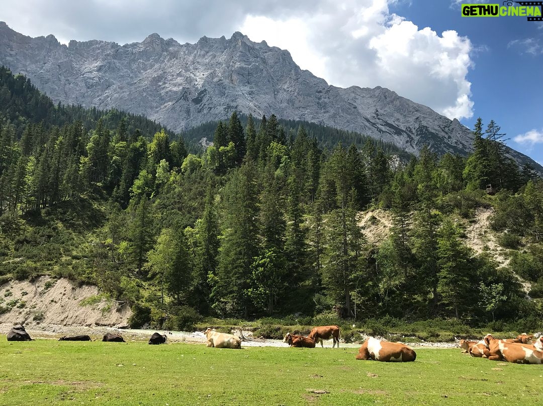 Michelle von Treuberg - 3.6K Likes - Mountains make me happy