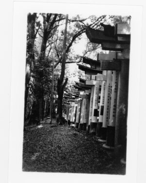 Michiel Huisman Instagram - Fushimi Inari, Kyoto 2019