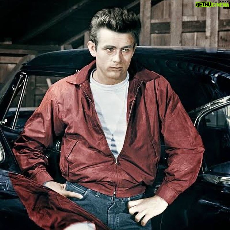 Miggy Jimenez - 3 Likes - rebel without a cause
*james dean inspo bruised ver.
forever icon