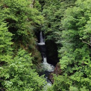 Miguel Ángel Revilla Instagram - En la tradicional subida a Sejos, en la carretera de Palombera te puedes encontrar estas dos maravillosas estampas. Yeguas en el camino y el Pozo del Amo. Esto es Cantabria Infinita.