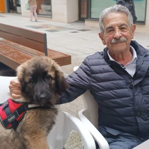 Miguel Ángel Revilla Instagram - Con Kada, preciosa cachorrita de 3 meses de Leonberger.