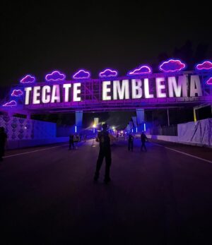 Miguel Martínez Instagram - Fin de Emblema 👾✨